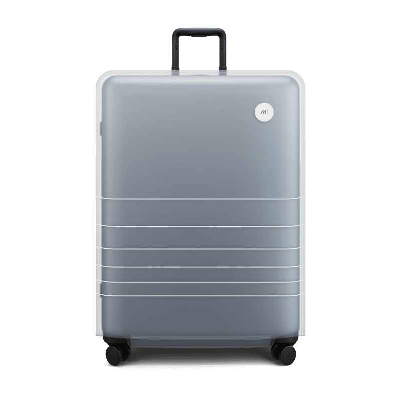 Collection Accessories LuggageCover CheckIn L 983c3090 3dcc 42a4 80ad bfd6b150bfb6